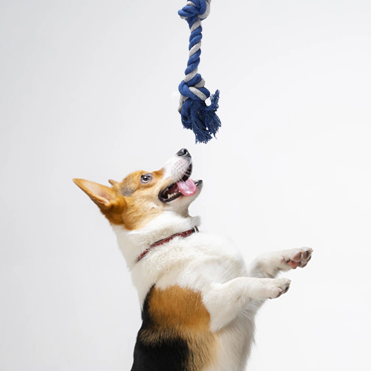 Ultimate 6-Pack Dog Puppy Toys - Plush Squeaky Chew Toys & Tough Interactive Rope for Small to Medium Dogs - Perfect for Teeth Cleaning and Playtime!