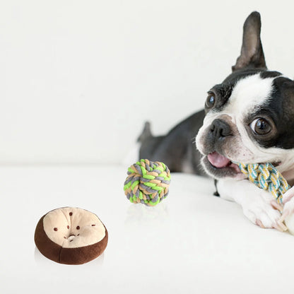 Ultimate 6-Pack Dog Puppy Toys - Plush Squeaky Chew Toys & Tough Interactive Rope for Small to Medium Dogs - Perfect for Teeth Cleaning and Playtime!