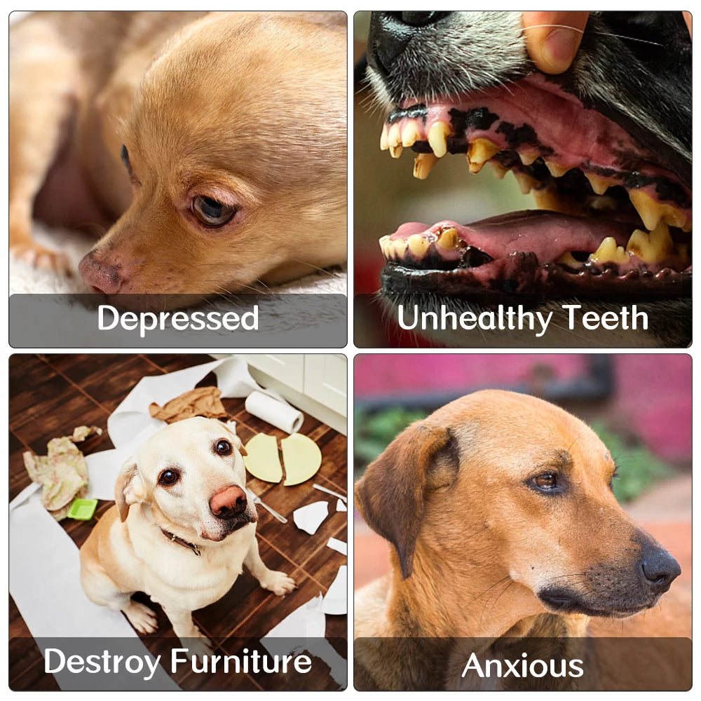 Ultimate 6-Pack Dog Puppy Toys - Plush Squeaky Chew Toys & Tough Interactive Rope for Small to Medium Dogs - Perfect for Teeth Cleaning and Playtime!